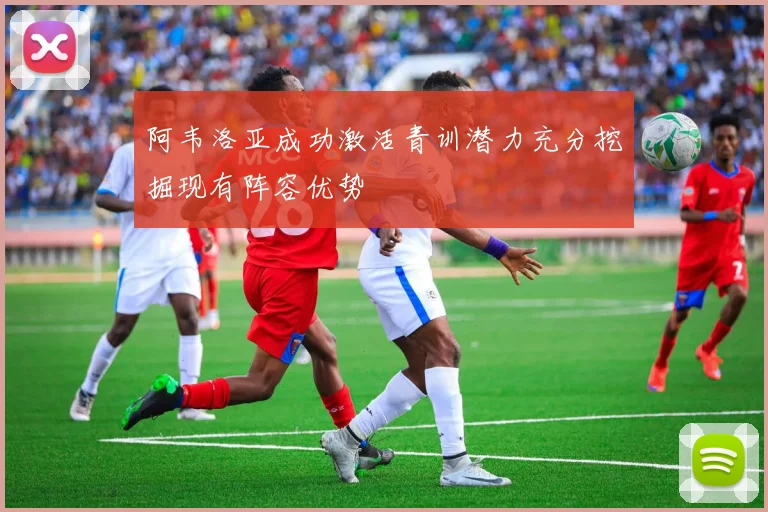 阿韦洛亚成功激活青训潜力充分挖掘现有阵容优势